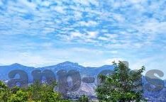 78世界杯阿根廷阵容-78年世界杯阿根廷阵容，传奇的集结