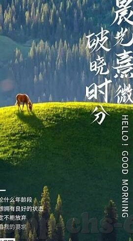 澳门威尼斯人mg电子-澳门威尼斯人，MG电子的璀璨明珠